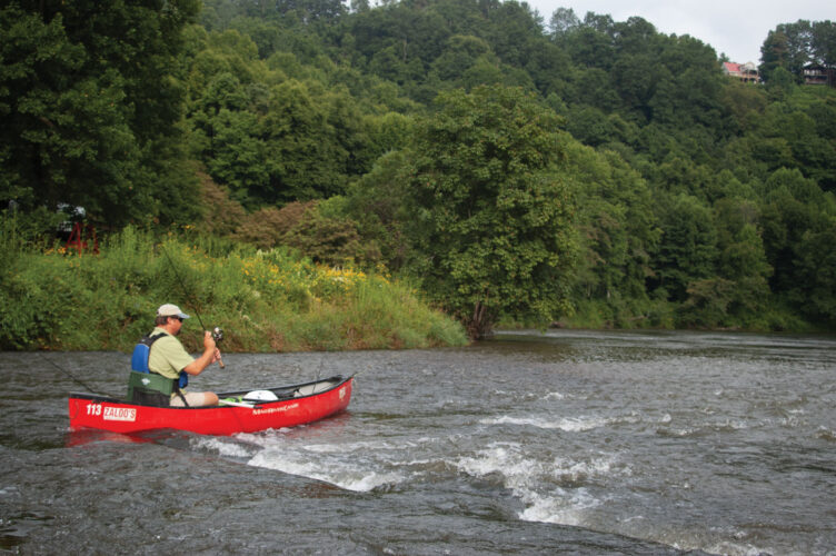 Fishing for Bass Tips: Landing a Great Catch